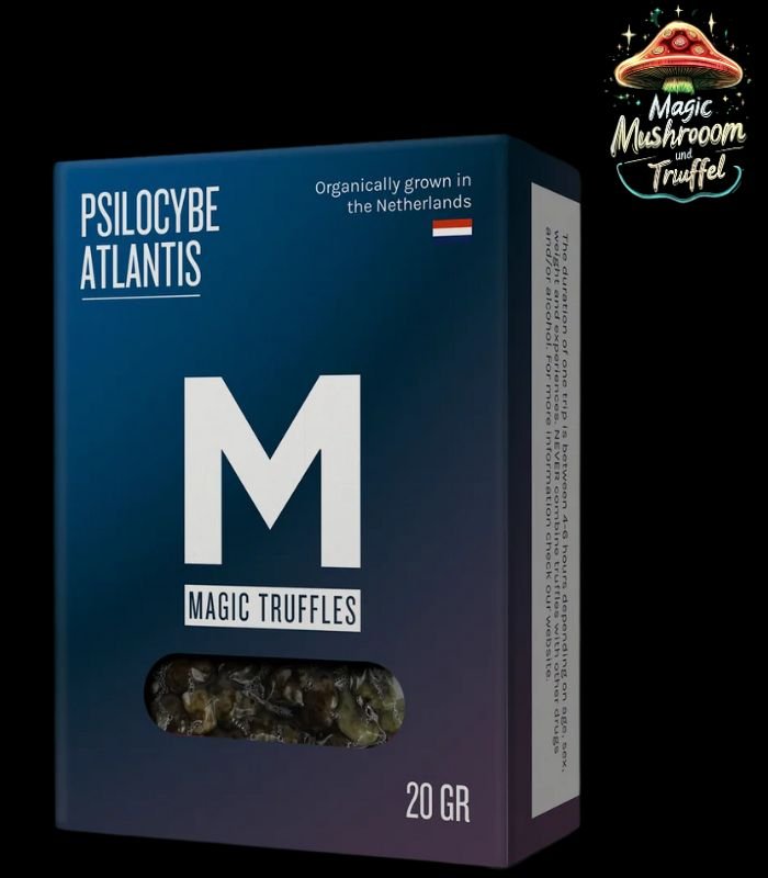 Atlantis Magische Trüffel