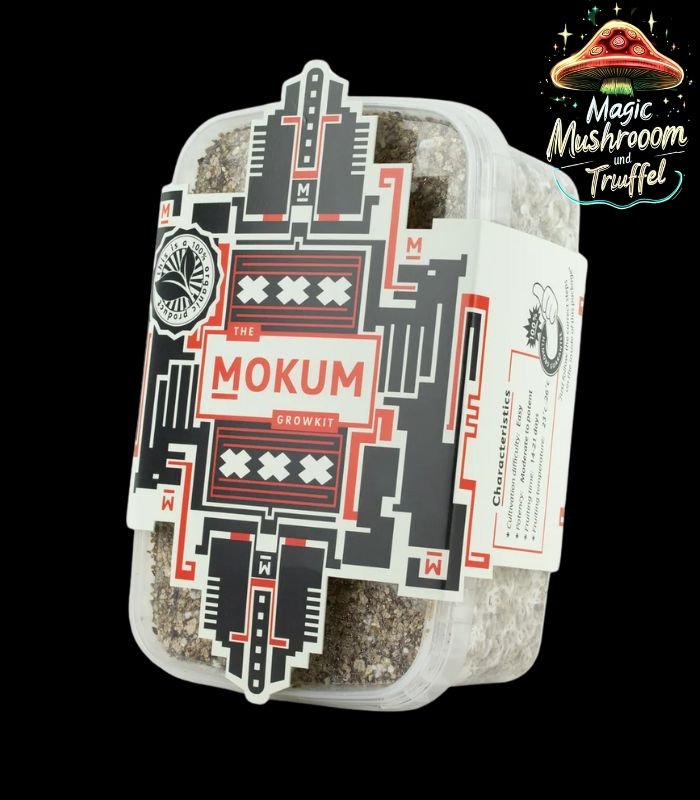 B+ Magic Mushroom Growkit