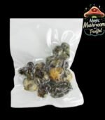 Galindoi Magisch Trüffel kaufen