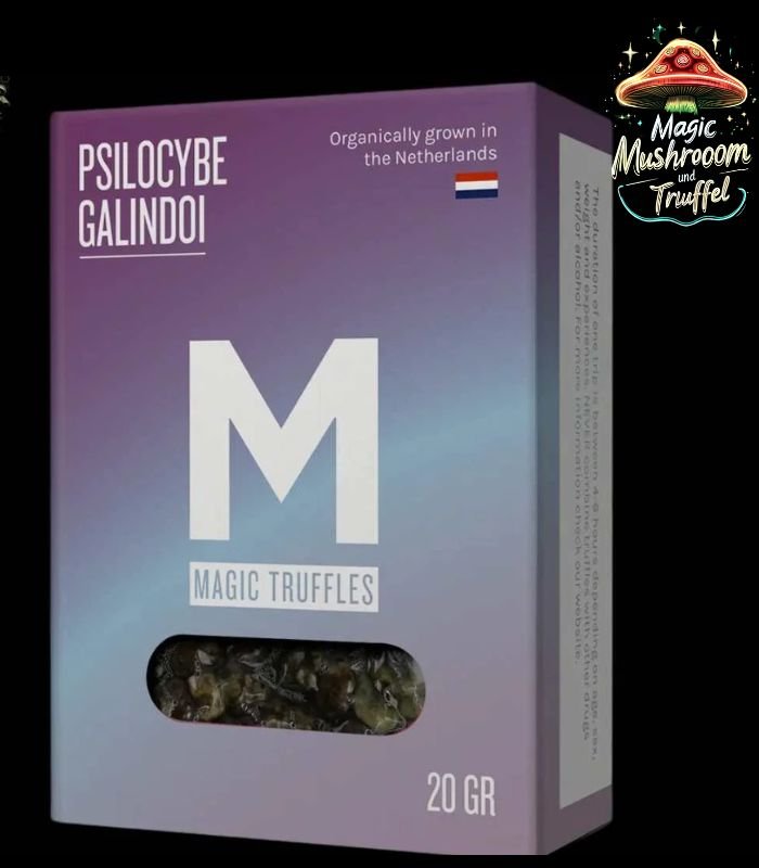 Galindoi Magische Trüffel