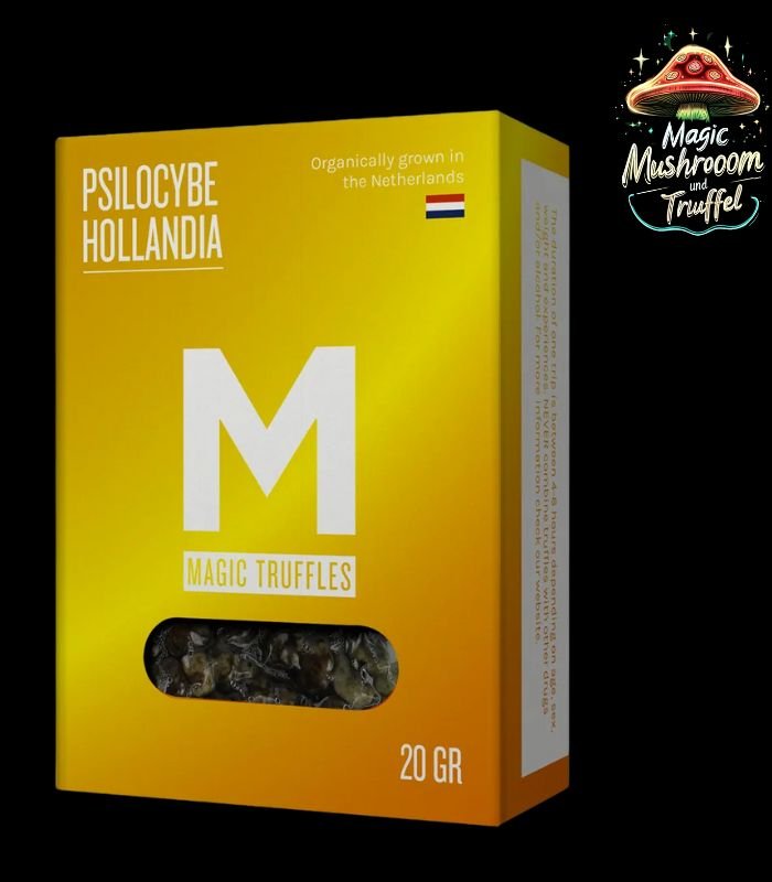 Hollandia Magische Trüffel