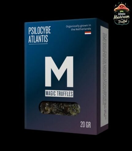 Atlantis Magische Trüffel