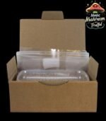 Magic Mushroom Growkit Golden Teacher-Set mit erdgefüllter Box und goldfarbenen Pilzköpfen.