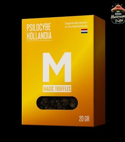 Hollandia Magische Trüffel