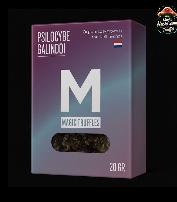 Galindoi Magische Trüffel