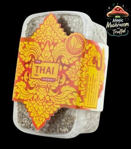 growbox magische Pilze