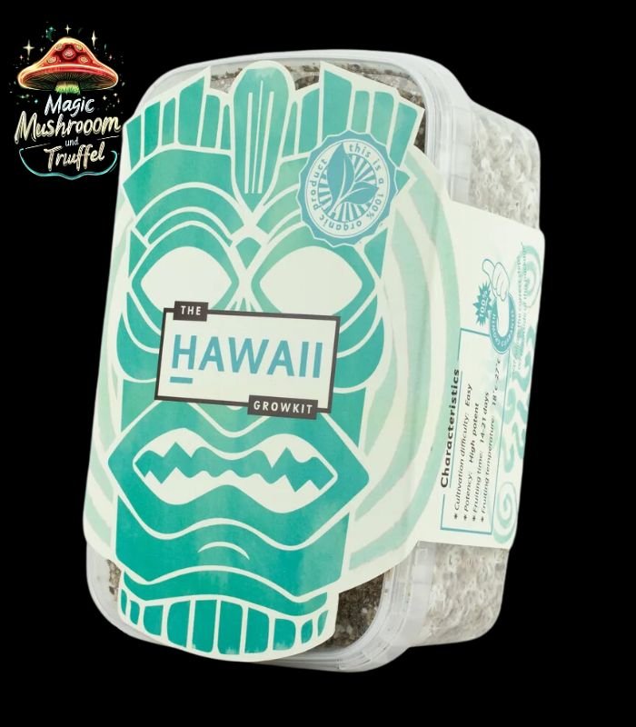 Magic Mushroom Growkit Hawaii