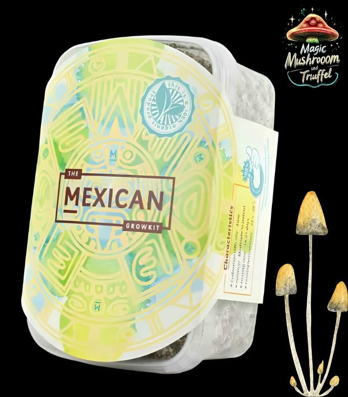 Magic Mexican Mushroom Growkit