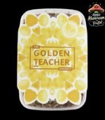 Growkit Golden Teacher