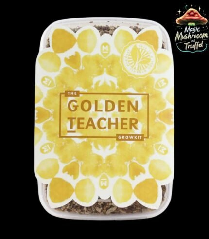 Growkit Golden Teacher