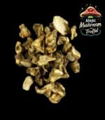 Magic Trüffel bestellen