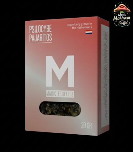 Magische Pajaritos Trüffel