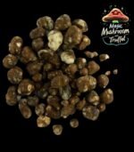 Mexicana Magische Trüffel bestellen