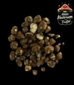 Magische Trüffel kaufen