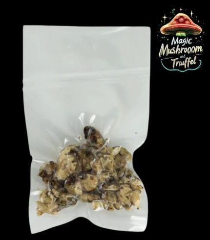 Magische Trüffel kaufen