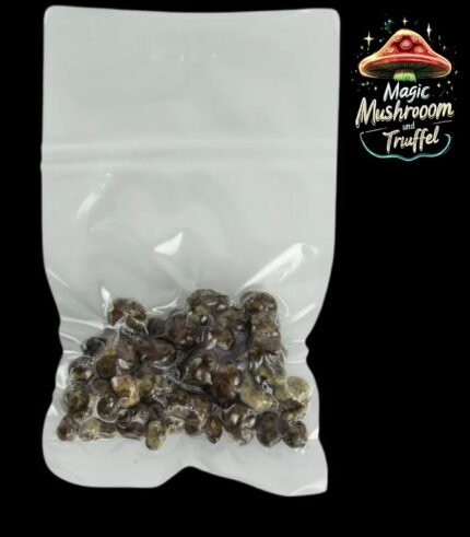 Mexicana Magische Trüffel kaufen