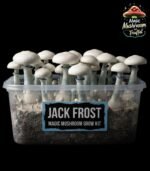 Jack Frost Mushroom Growkit