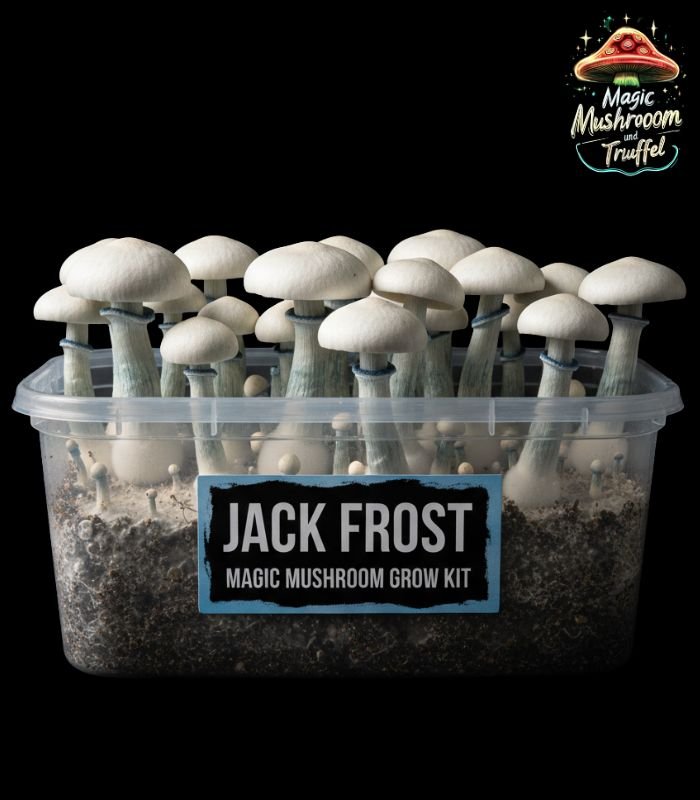 Jack Frost Mushroom Growkit