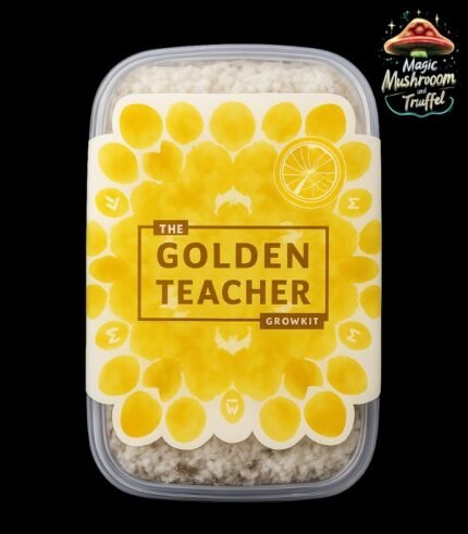 Magic Mushroom Growkit Golden Teacher