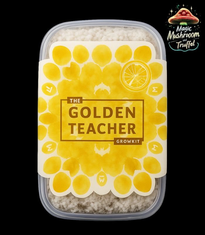 Magic Mushroom Growkit Golden Teacher Magic Mushroom Growkit Golden Teacher