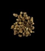 Pajaritos Microdosing Trüffel