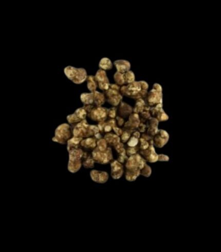 Pajaritos Microdosing Trüffel