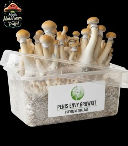 Penis Envy Growbox